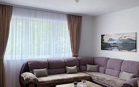 Apartment Varezic